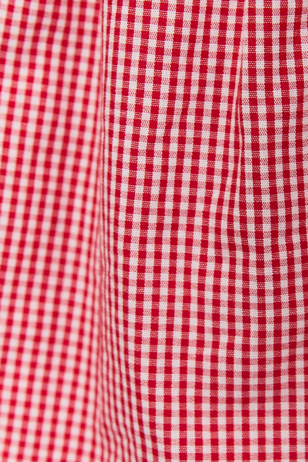 The Sweet Magnolia Gingham Shorts